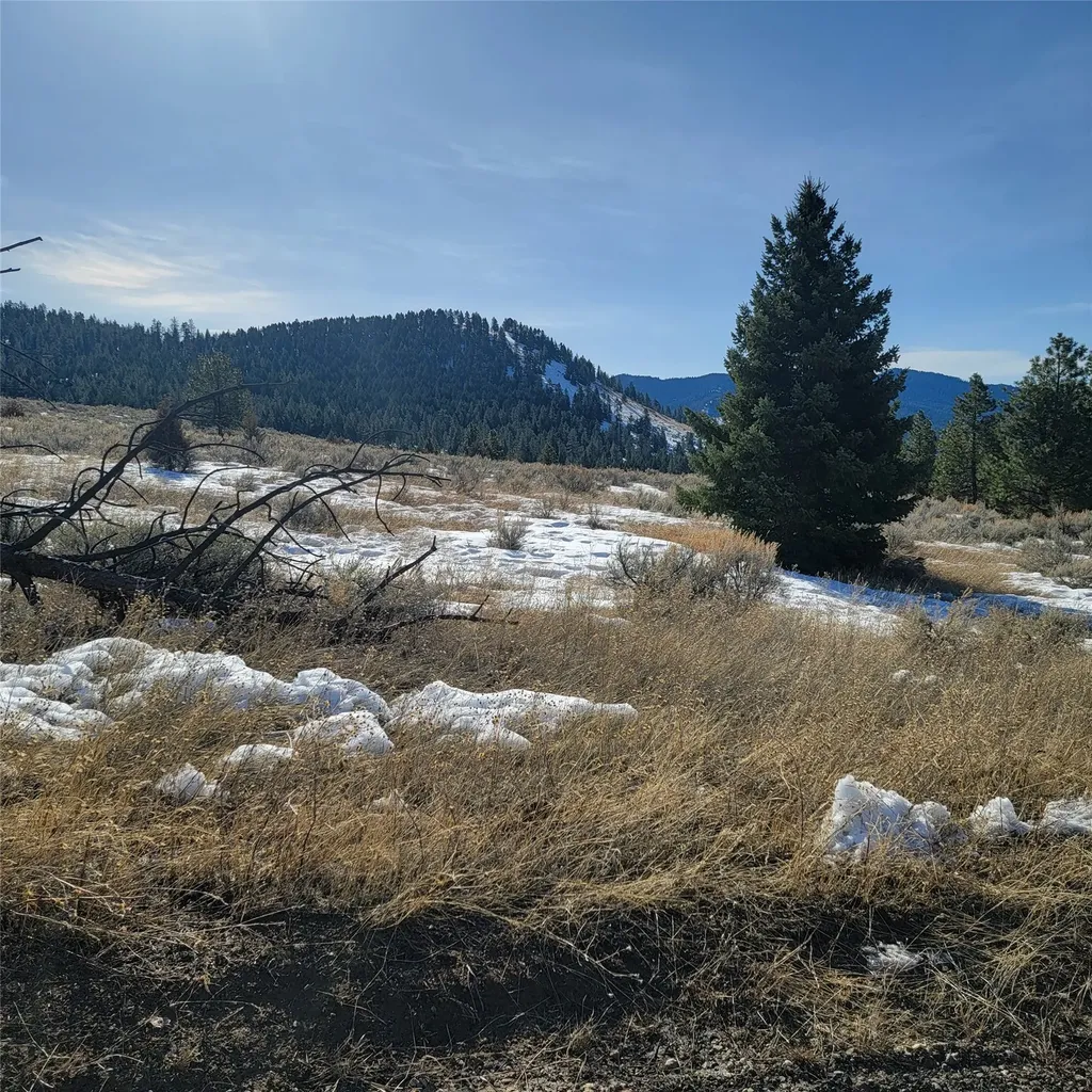 Lot B Sapphire Ranch Trail Corvallis MT 59828