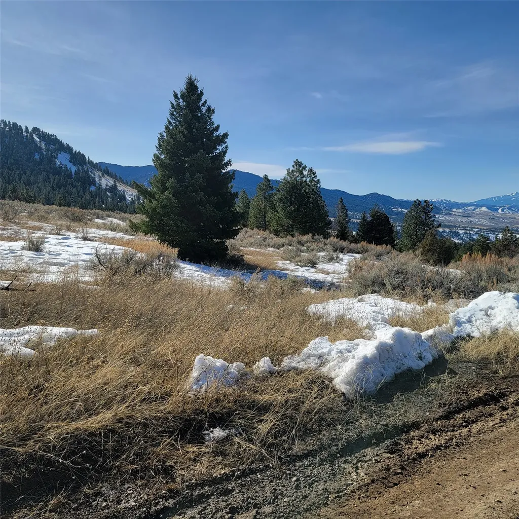 Lot B Sapphire Ranch Trail Corvallis MT 59828