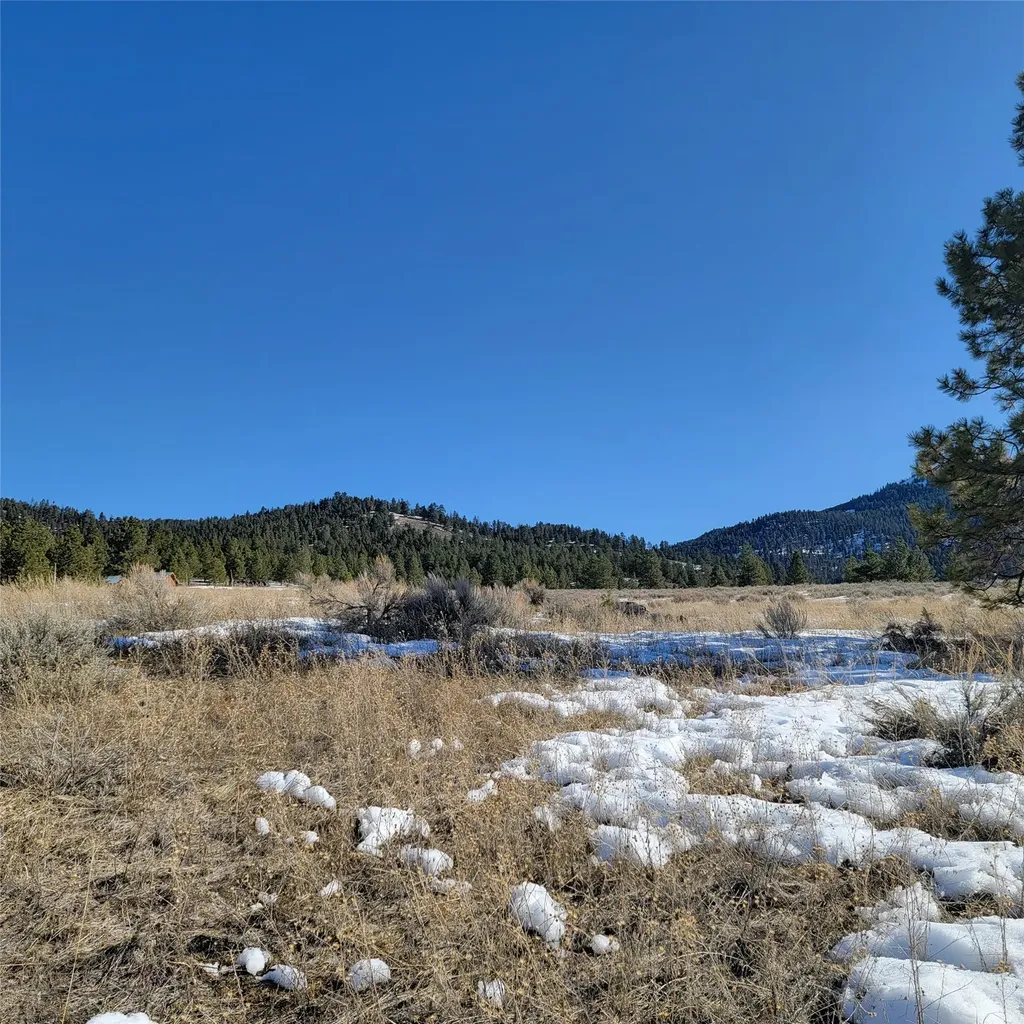 Lot B Sapphire Ranch Trail Corvallis MT 59828