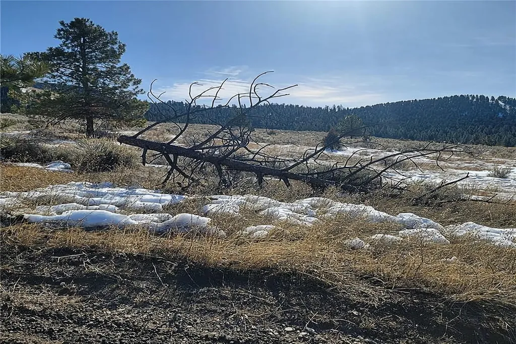 Lot A And B Sapphire Ranch Trail Corvallis MT 59828