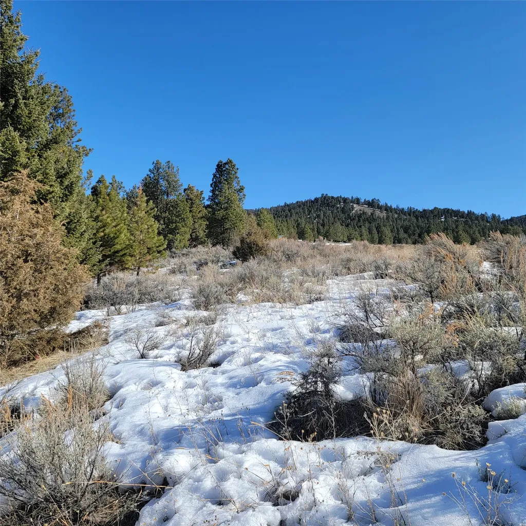 Lot A Sapphire Ranch Trail Corvallis MT 59828