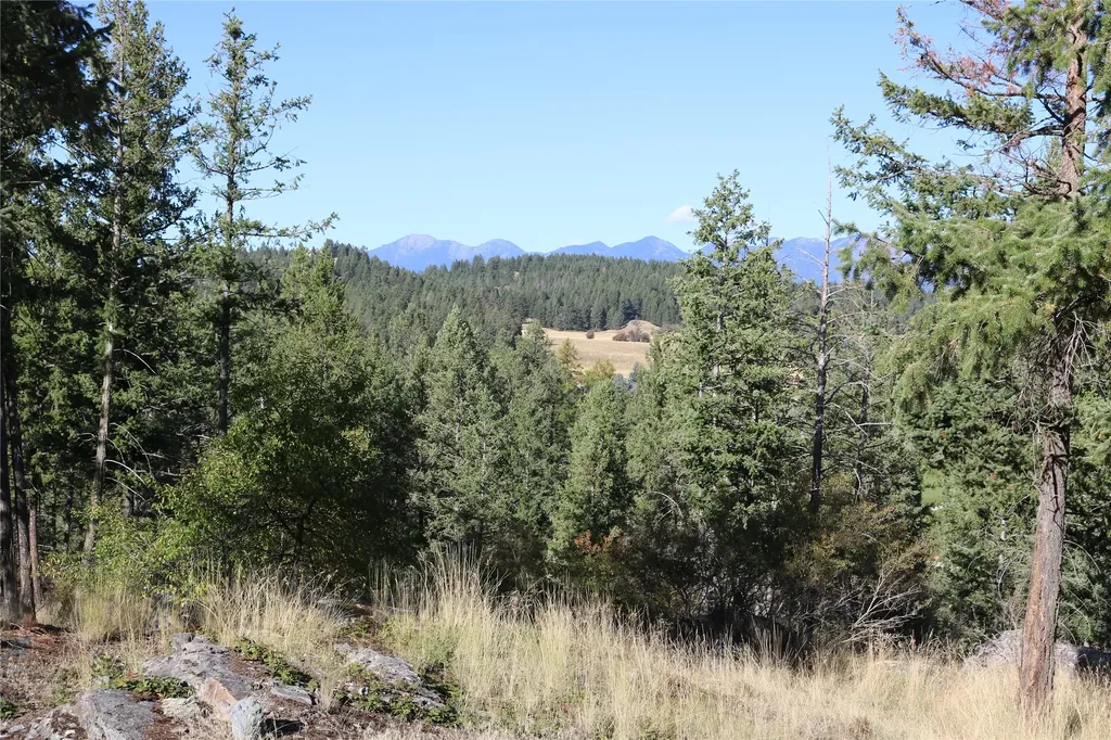 175 Aerie Place Bigfork MT 59911