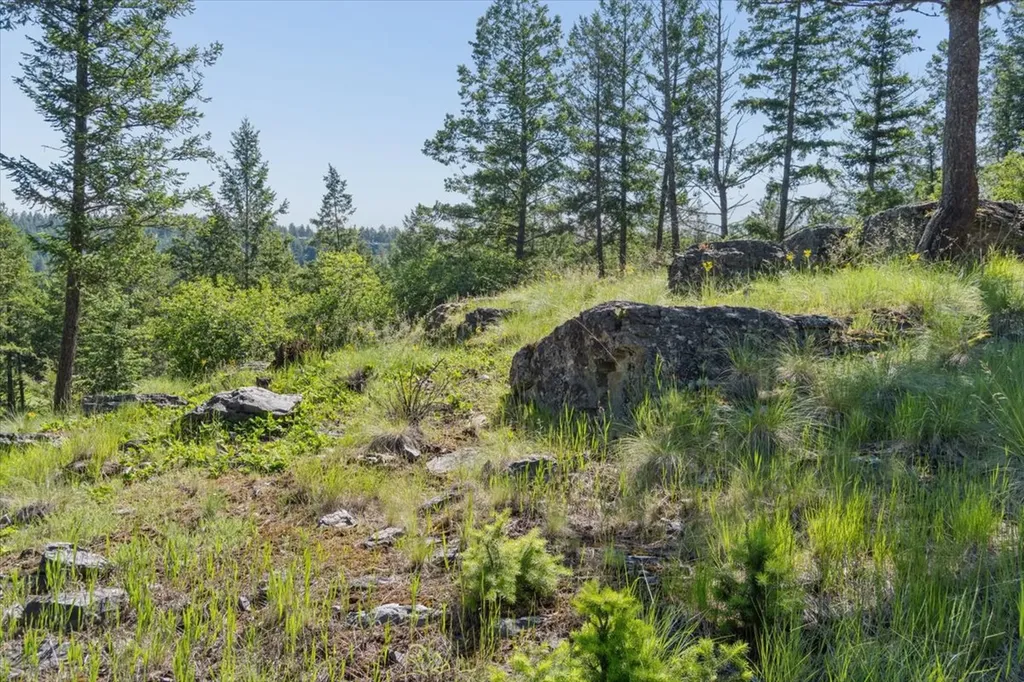 175 Aerie Place Bigfork MT 59911