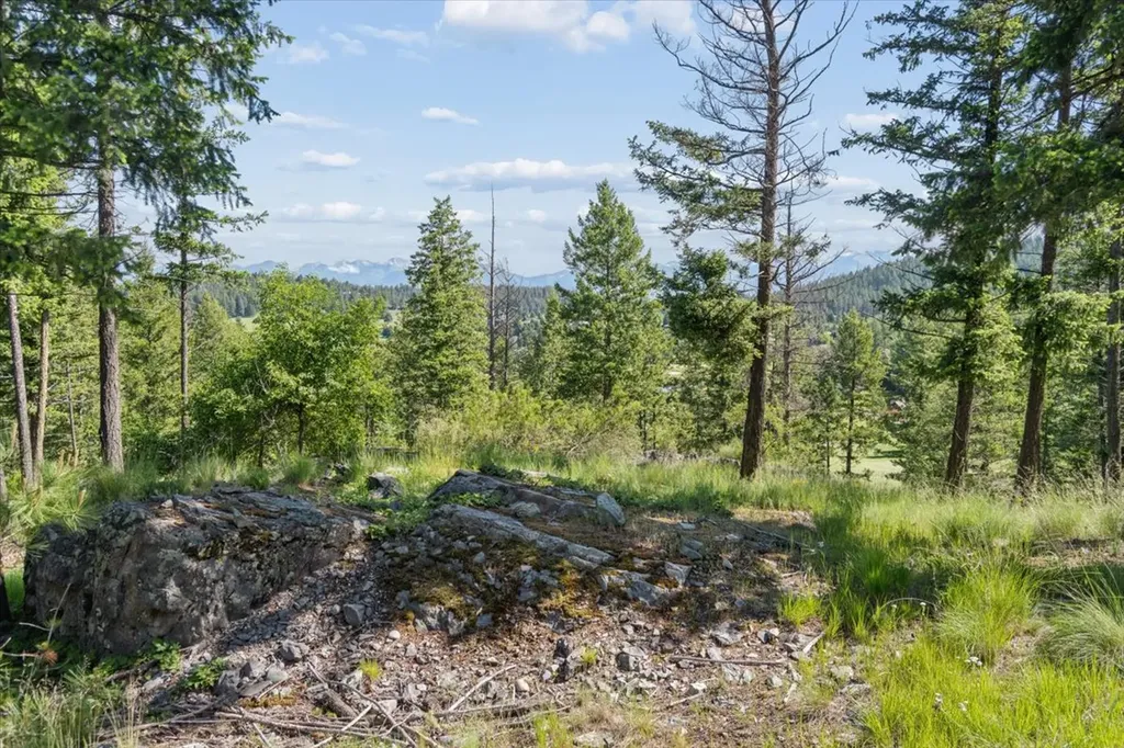 175 Aerie Place Bigfork MT 59911