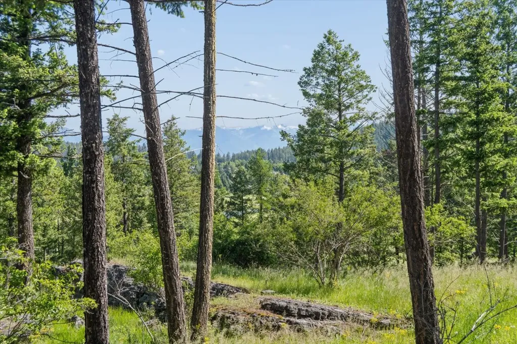 175 Aerie Place Bigfork MT 59911