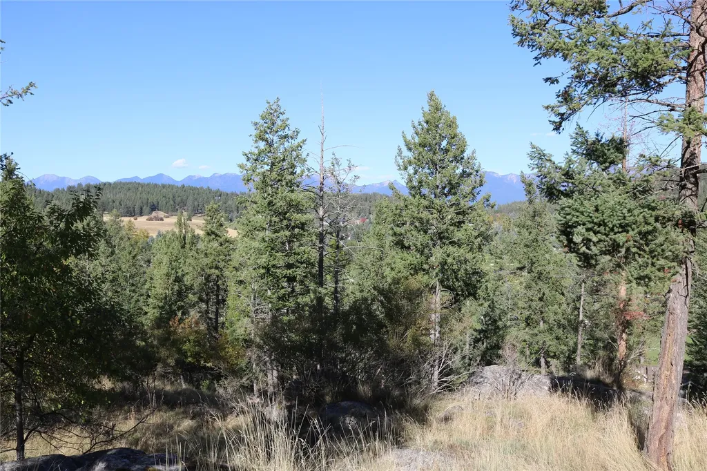 175 Aerie Place Bigfork MT 59911