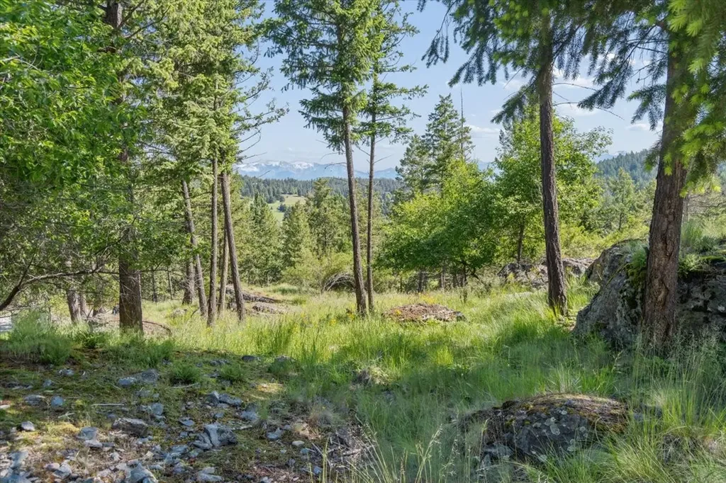 175 Aerie Place Bigfork MT 59911