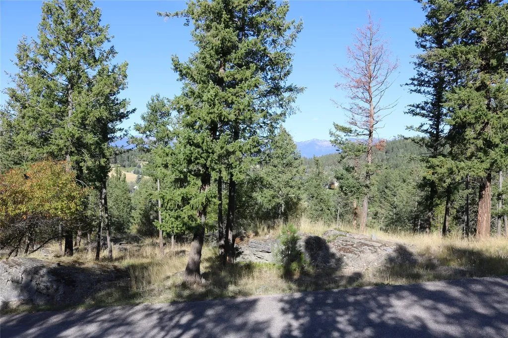 175 Aerie Place Bigfork MT 59911