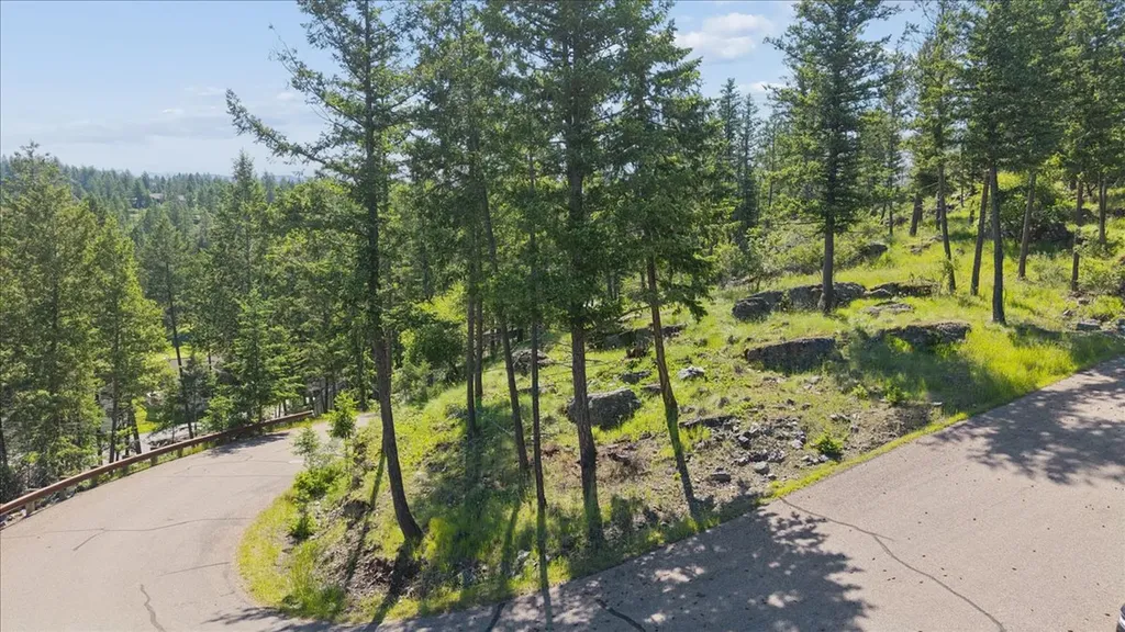 175 Aerie Place Bigfork MT 59911