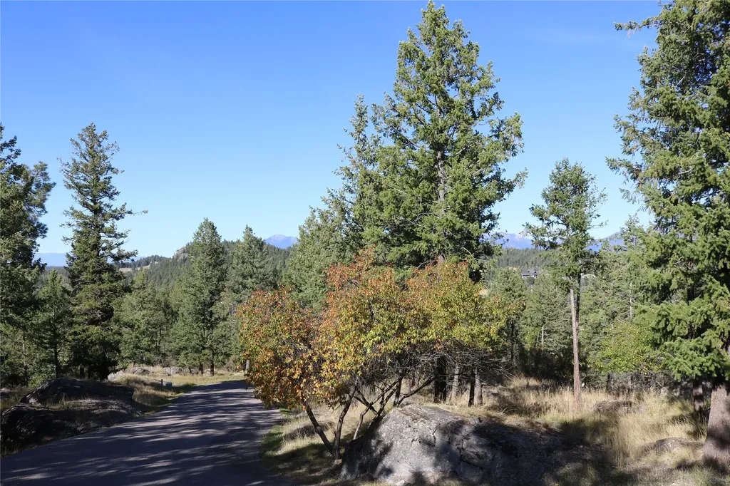 175 Aerie Place Bigfork MT 59911