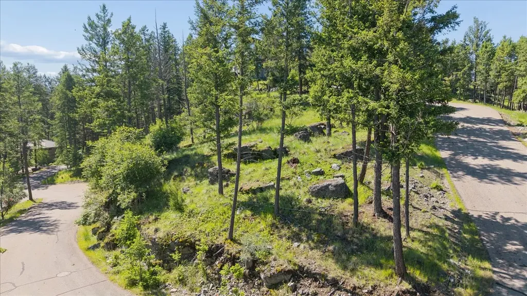 175 Aerie Place Bigfork MT 59911
