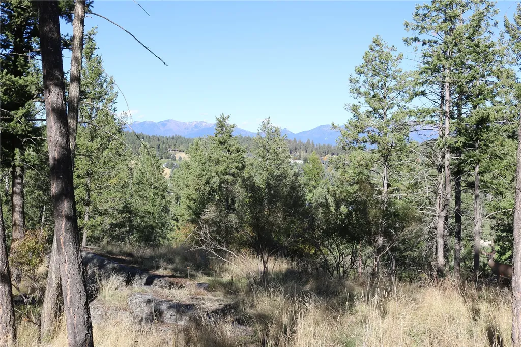 175 Aerie Place Bigfork MT 59911