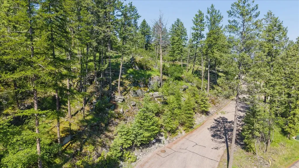 175 Aerie Place Bigfork MT 59911