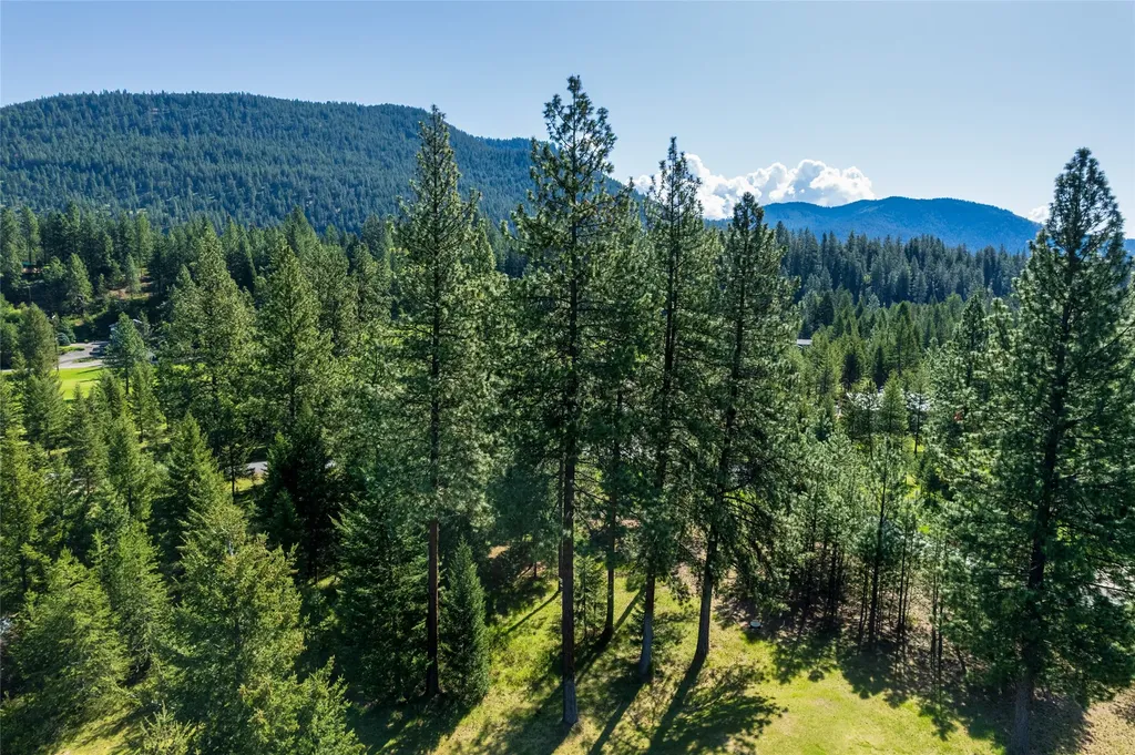 Nhn Clubhouse Drive St Regis MT 59866