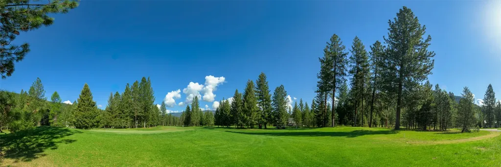 Nhn Clubhouse Drive St Regis MT 59866