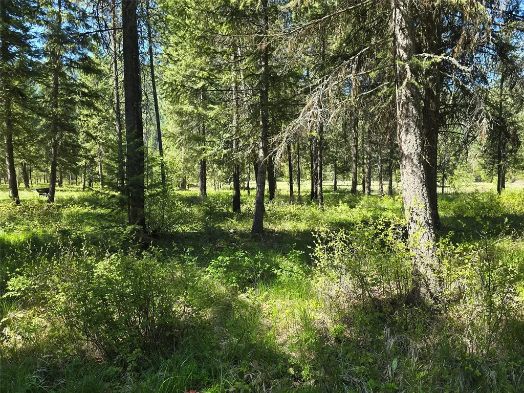 Nh Fairview Drive St Regis MT 59866