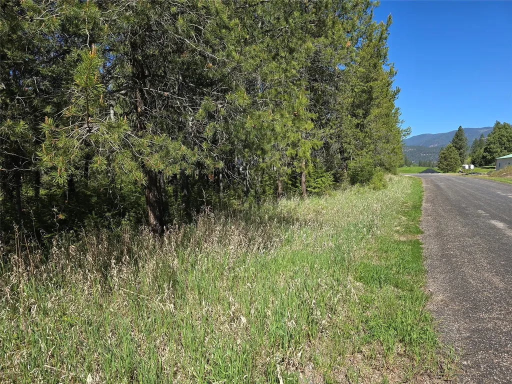 Nh Fairview Drive St Regis MT 59866