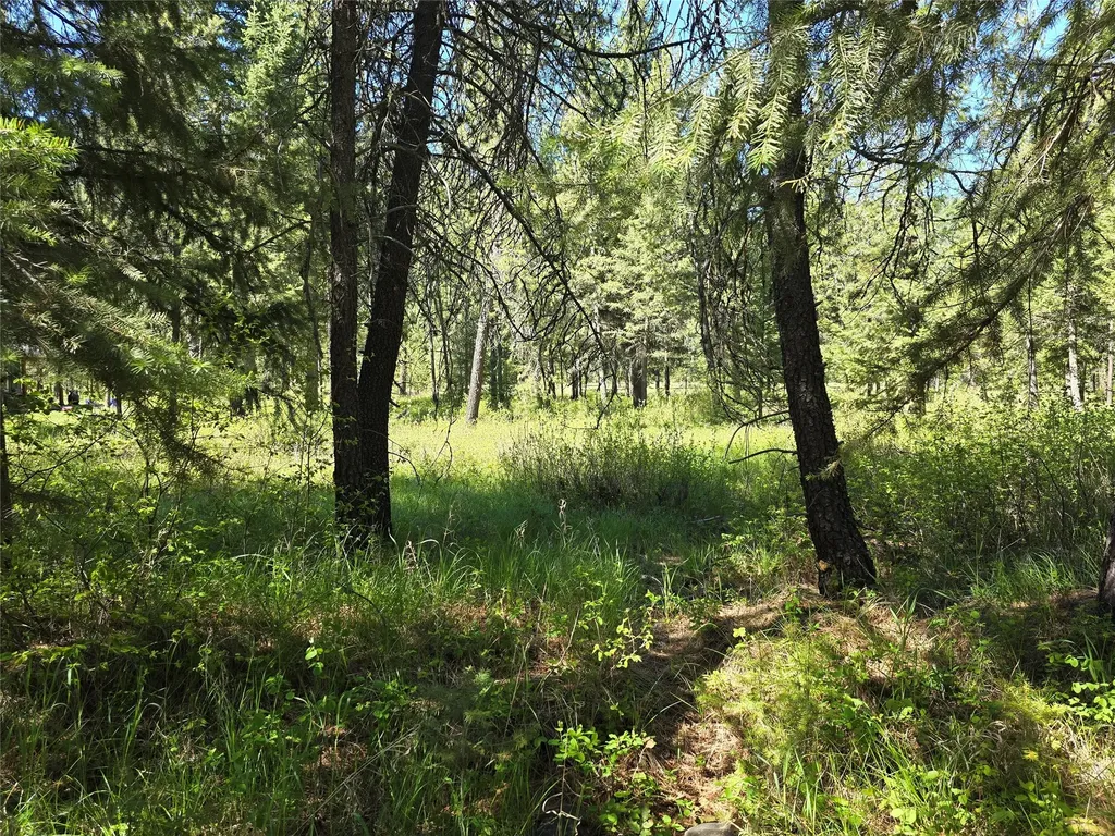 Nh Fairview Drive St Regis MT 59866