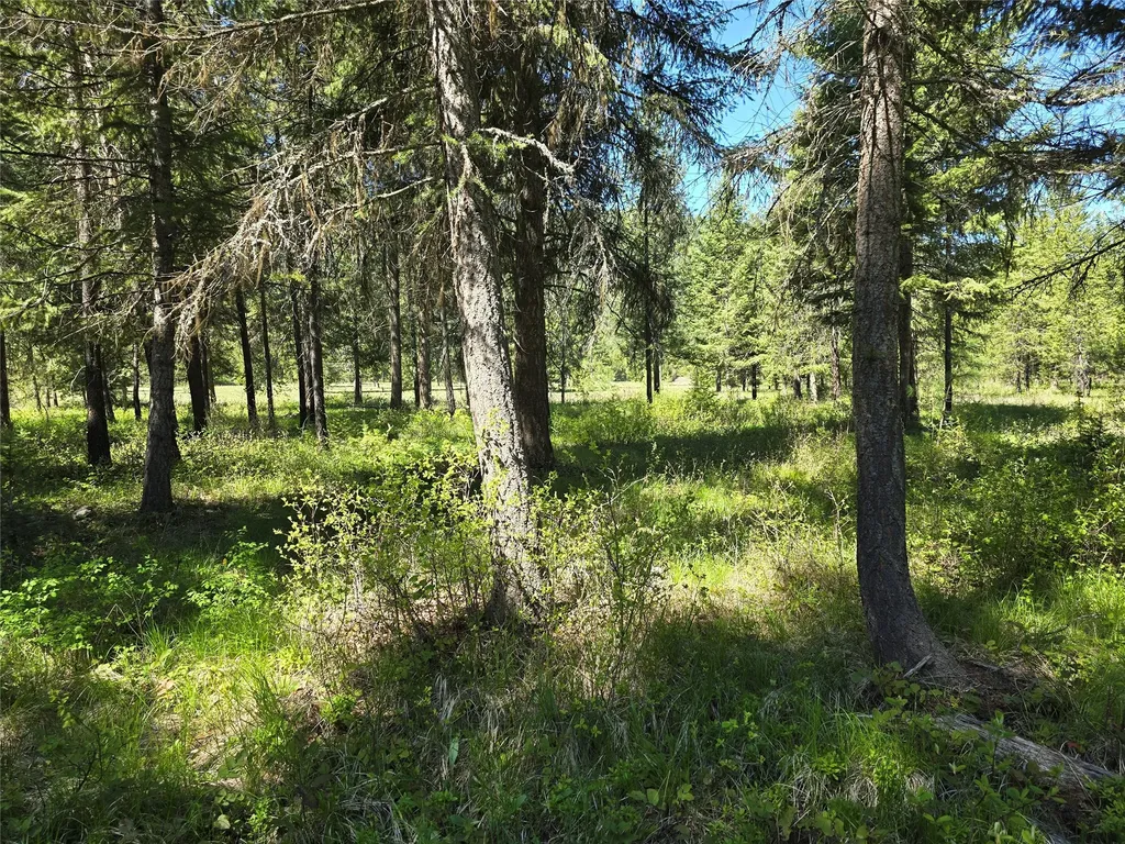 Nh Fairview Drive St Regis MT 59866