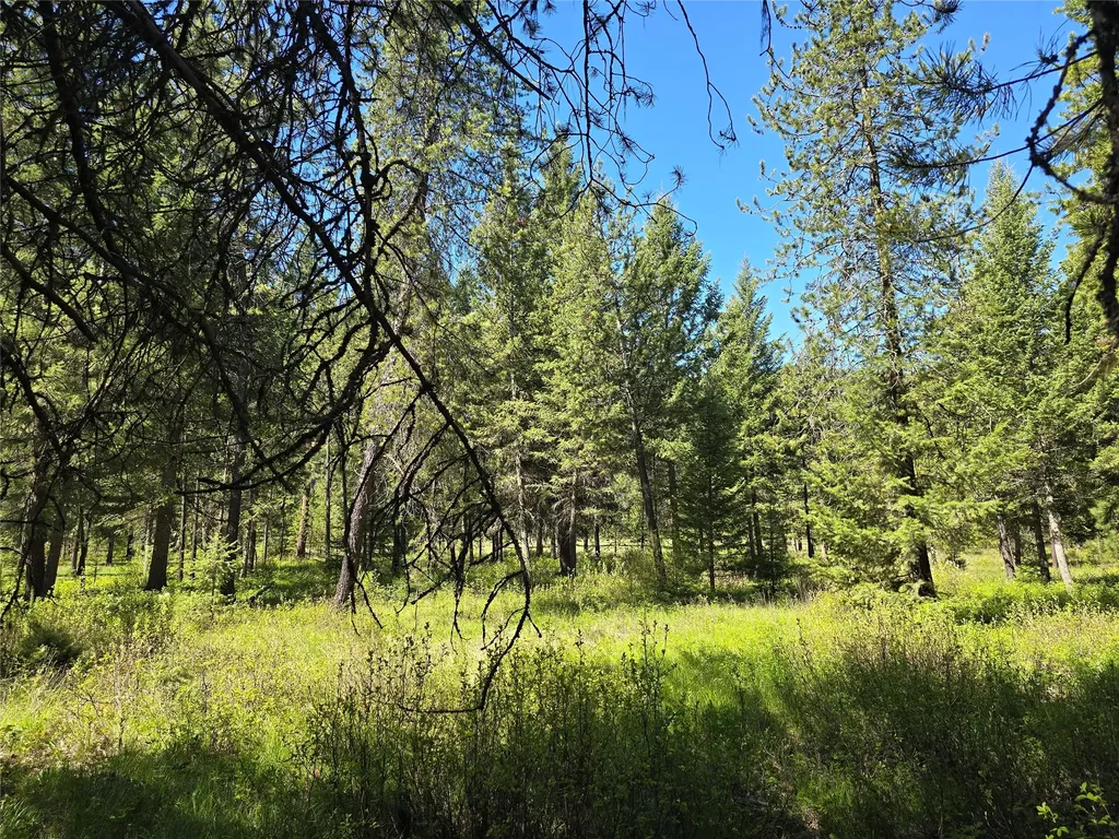 Nh Fairview Drive St Regis MT 59866