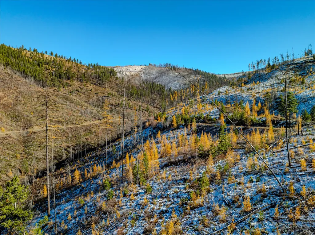 Nhn Vermillion Creek Road Libby MT 59923
