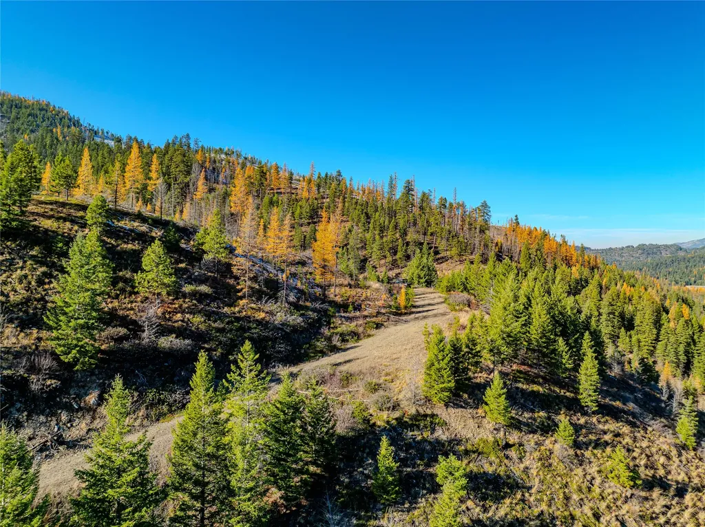Nhn Vermillion Creek Road Libby MT 59923