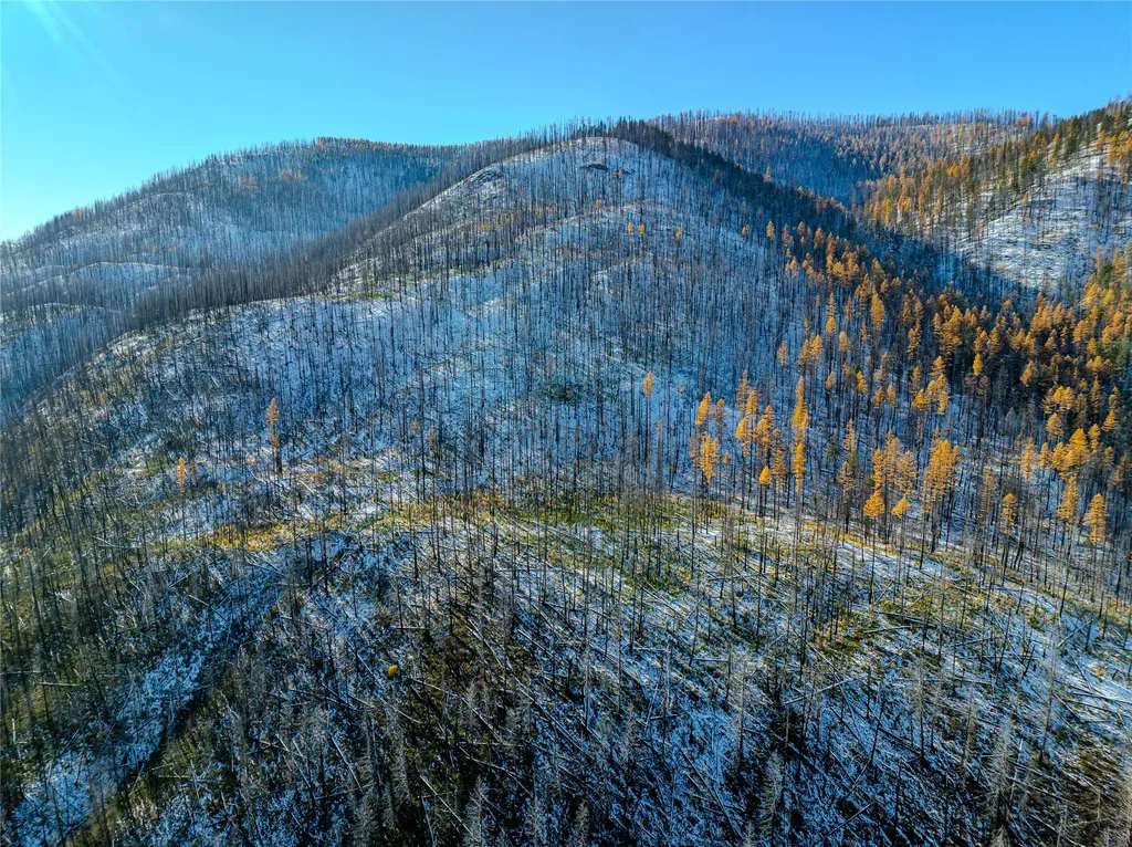 Nhn Vermillion Creek Road Libby MT 59923