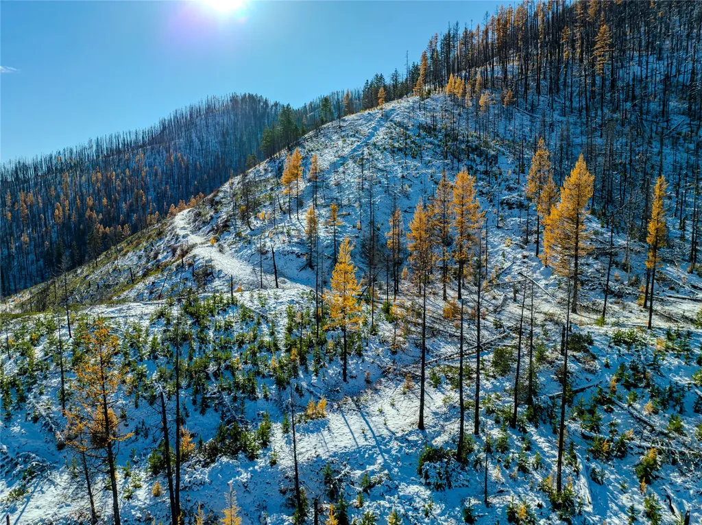 Nhn Vermillion Creek Road Libby MT 59923