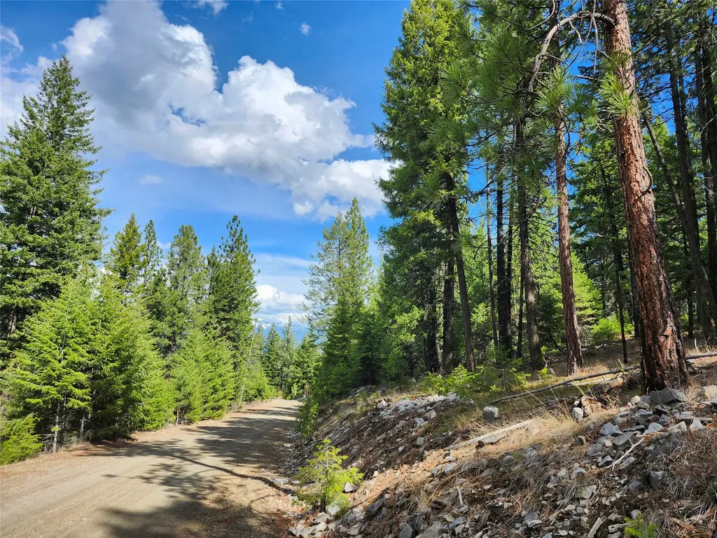 107 Mountain Road Plains MT 59859