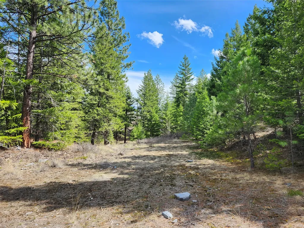 107 Mountain Road Plains MT 59859