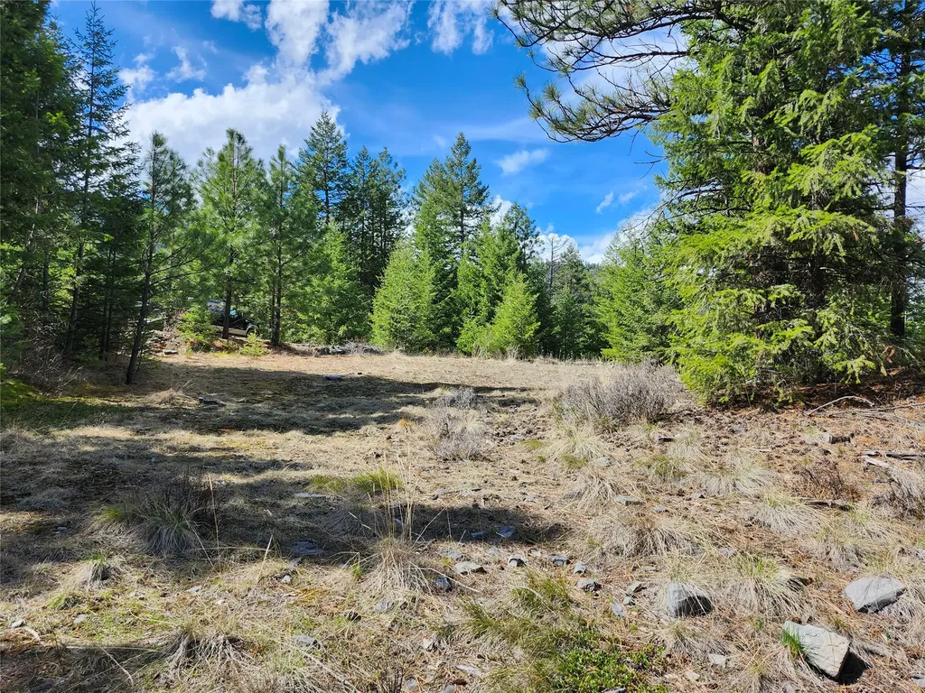 107 Mountain Road Plains MT 59859