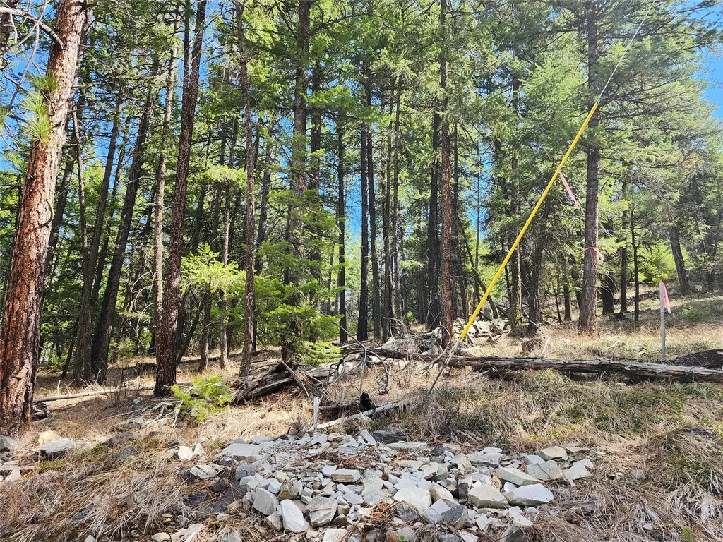 107 Mountain Road Plains MT 59859