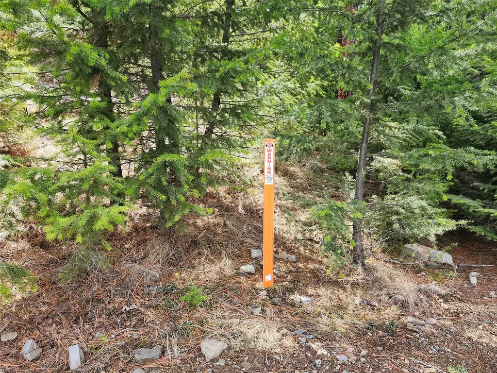 107 Mountain Road Plains MT 59859