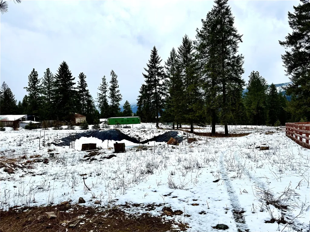 74 View Point Lane Trout Creek MT 59874