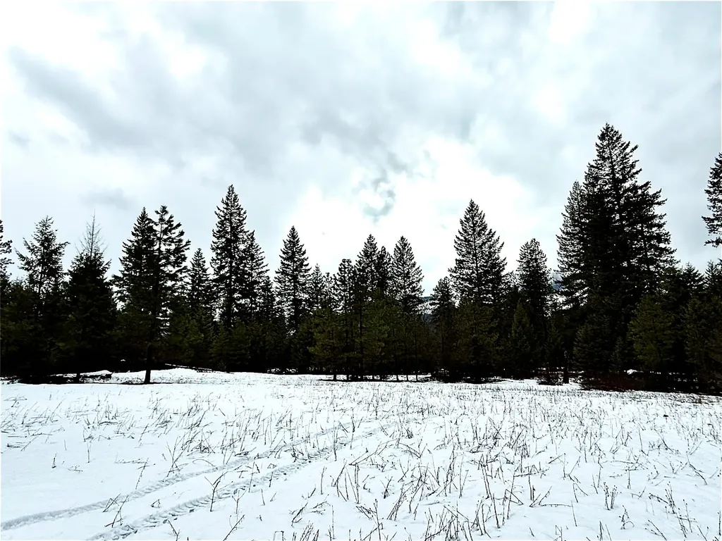 74 View Point Lane Trout Creek MT 59874