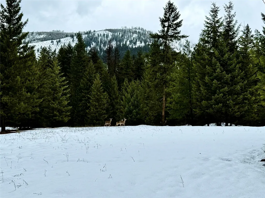 74 View Point Lane Trout Creek MT 59874