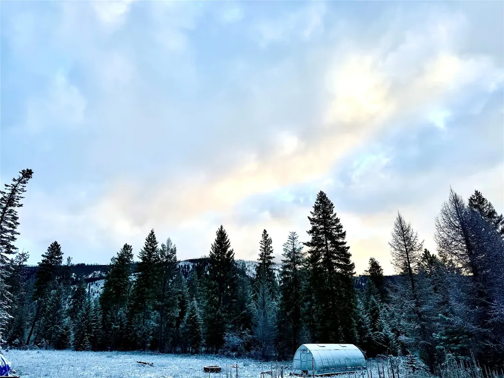 74 View Point Lane Trout Creek MT 59874