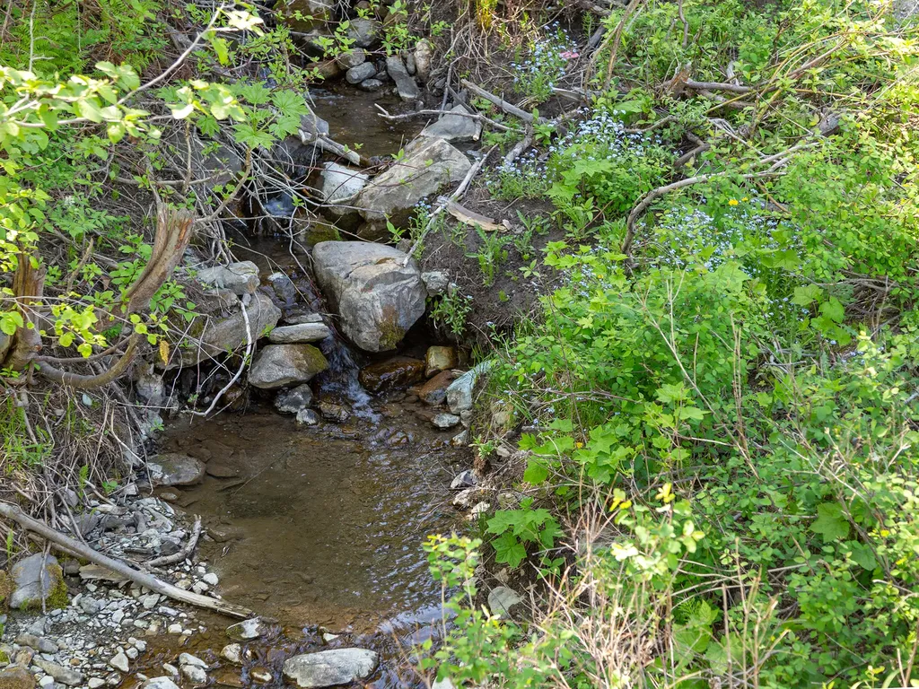 398 Moose Run Drive Whitefish MT 59937