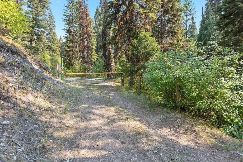 6300 Camas Creek Road Potomac MT 59823