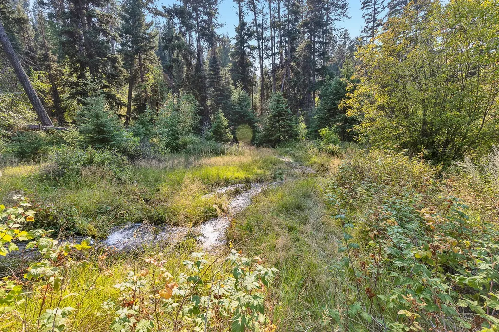 6300 Camas Creek Road Potomac MT 59823