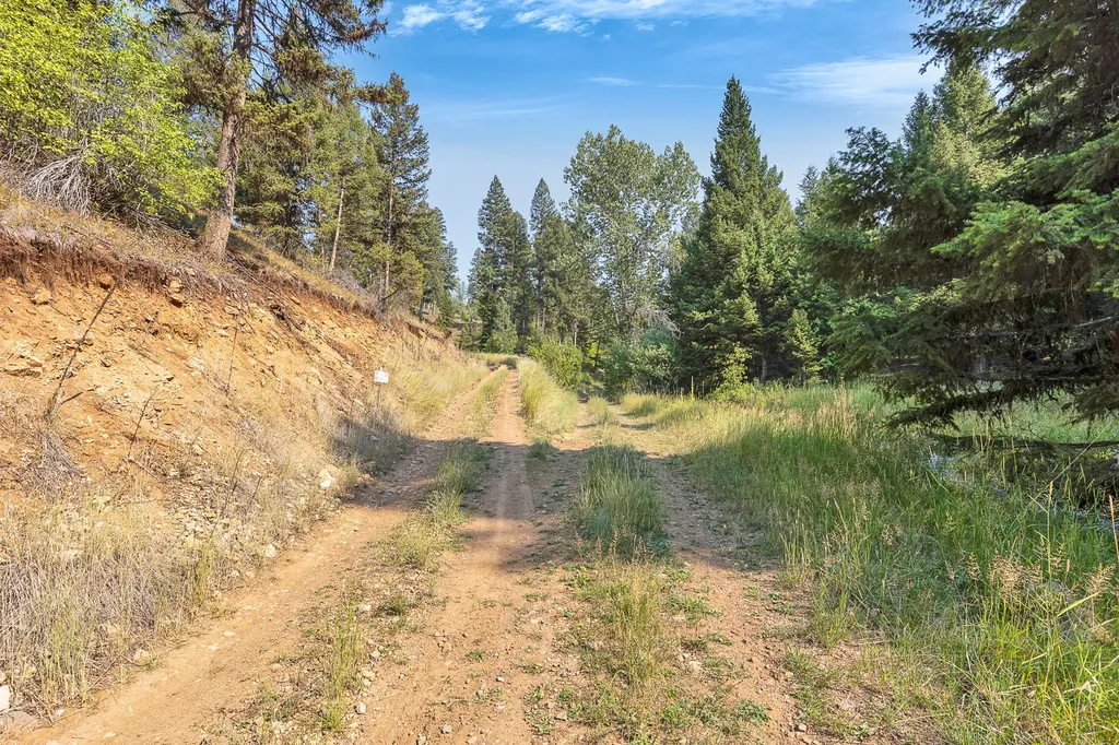 6300 Camas Creek Road Potomac MT 59823