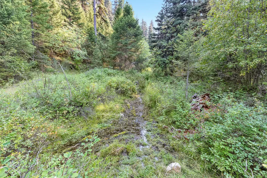 6300 Camas Creek Road Potomac MT 59823
