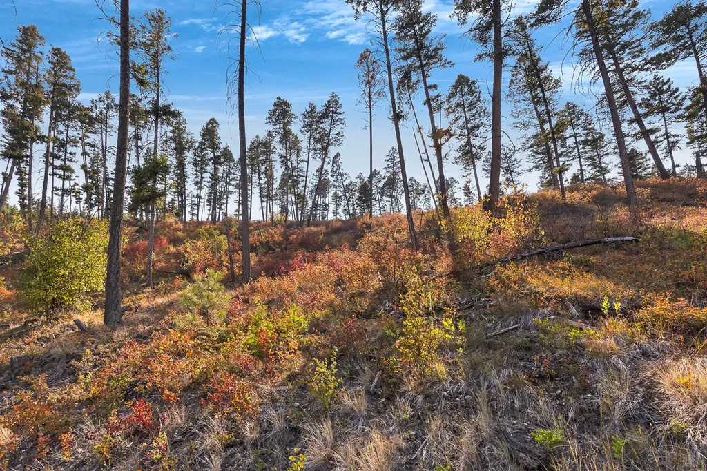 6300 Camas Creek Road Potomac MT 59823
