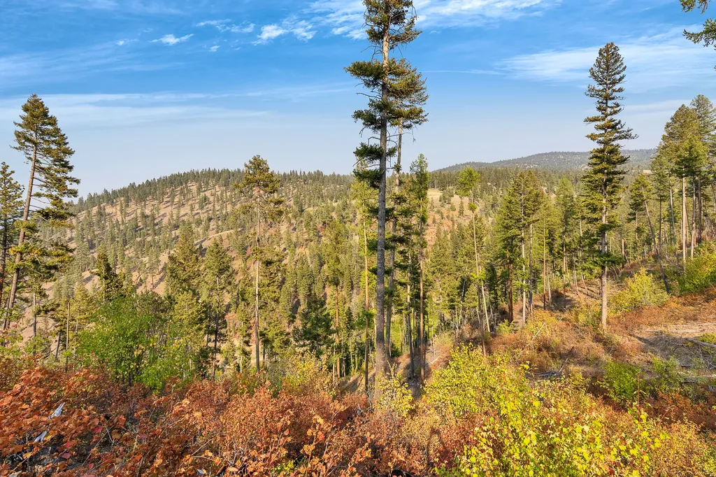 6300 Camas Creek Road Potomac MT 59823
