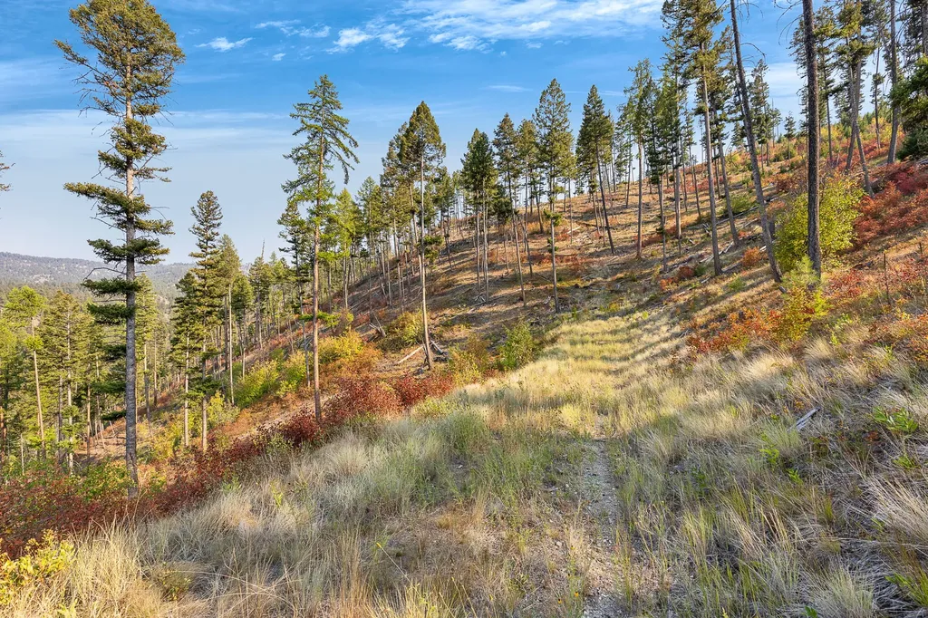 6300 Camas Creek Road Potomac MT 59823