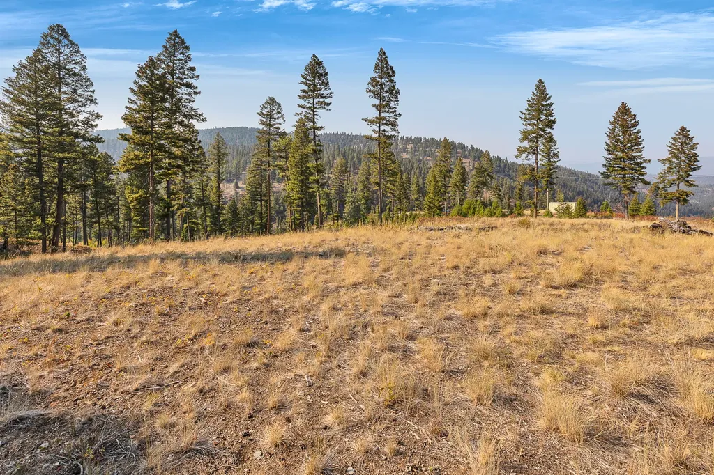 6300 Camas Creek Road Potomac MT 59823