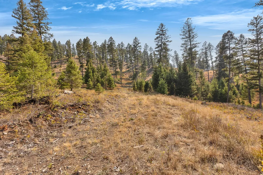 6300 Camas Creek Road Potomac MT 59823