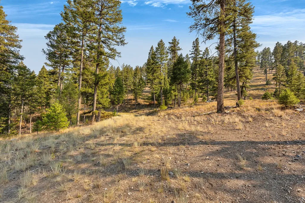 6300 Camas Creek Road Potomac MT 59823