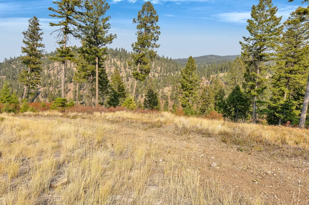 6300 Camas Creek Road Potomac MT 59823