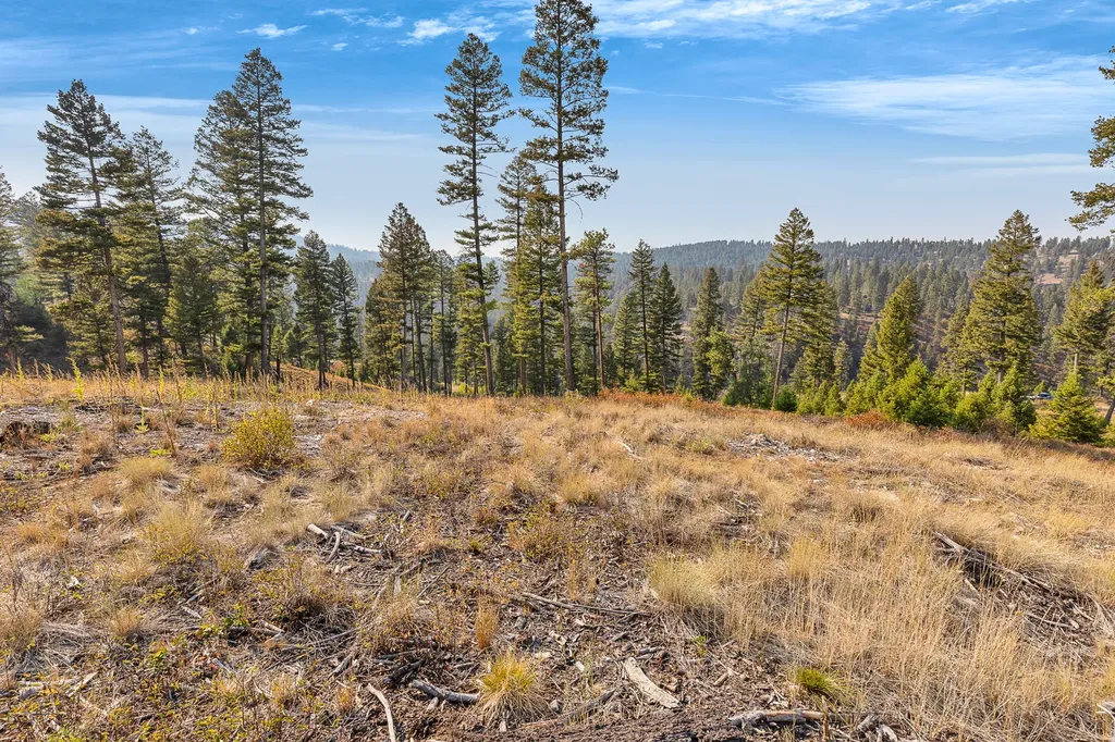 6300 Camas Creek Road Potomac MT 59823